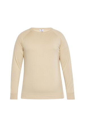 Beige langærmet crewneck-sweater med ribkanter og -bund, vist på hvid baggrund uden synlige mønstre eller logoer.