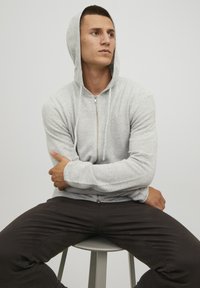 Jack & Jones Zip-up sweatshirt - light grey melange