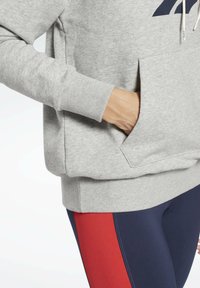 Reebok FRENCH TERRY ELEMENTS WORKOUT TRACK HOODIE - Hoodie - grey