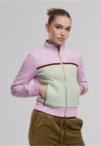 Sweat-shirt zippé en lavande et vert menthe, avec une bande marron, deux poches latérales et des poignets côtelés. Texture de tissu lisse.