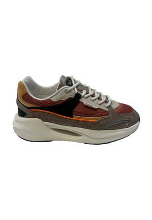 D.A.T.E. VELA - Baskets basses - marrone