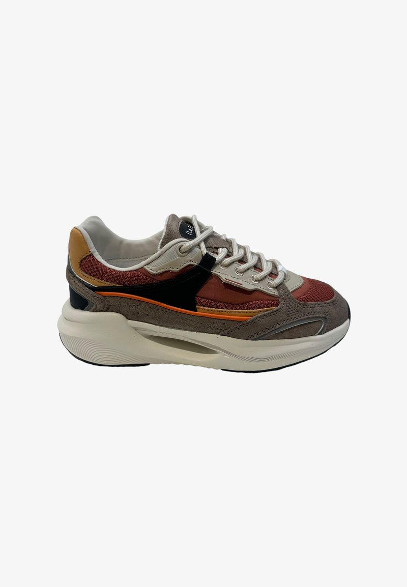 D.A.T.E. VELA - Baskets basses - marrone