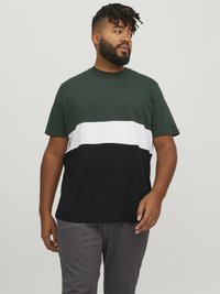 Jack & Jones JJEREID BLOCKING TEE - Apdrukāts T-krekls - mountain view