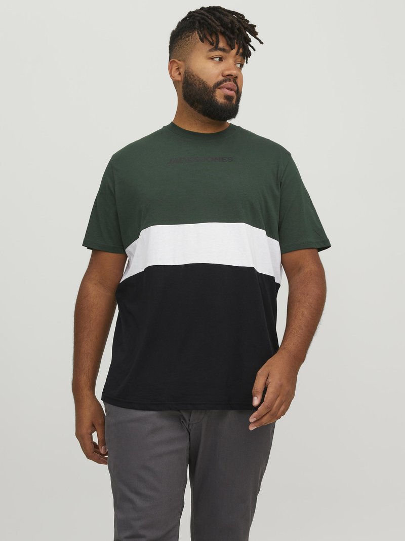 Jack & Jones JJEREID BLOCKING TEE - Apdrukāts T-krekls - mountain view