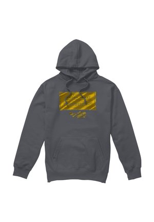 Cotton Soul, WILLY WONKA AND THE CHOCOLATE FACTORY/GOLDEN TICKET - Kapuzenpullover - anthracite
