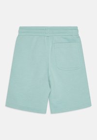 Mintgrønne bomullsshorts med elastisk midje, med en baklomme og jevn tekstur. Kantene er sydd for holdbarhet.