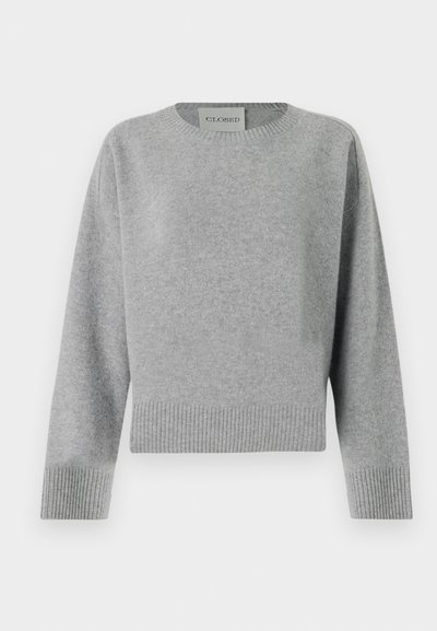CLOSED CREW NECK WIDE SLEEVE - Pulover - light grey