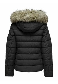 ONLY ONLINE WLUNA  CC OTW - Giacca invernale - phantom