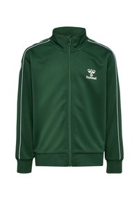 Grüne Zip-Jacke aus leichtem Stoff. Mit weißen Seitenstreifen, hohem Kragen und kleinem Logo auf der Brust. Weiche Textur.