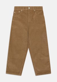 Molo AIDEN PANTS - Kelnės - drift wood