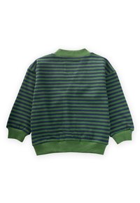 Žalias ir tamsiai mėlynas juostuotas megztinis suapvalintu kaklu, ilgomis rankovėmis, elastingais rankogaliais ir liemeniu. Lygus paviršius.