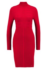 Rotes geripptes Strickkleid mit hohem Hals und langen Ärmeln. Die Textur weist kontrastierende horizontale und vertikale Rippmuster auf.