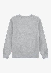 Felpa grigia con maniche lunghe, scollatura rotonda, polsini e orlo a costine. Realizzata in tessuto morbido con una consistenza liscia. Senza design o loghi visibili.