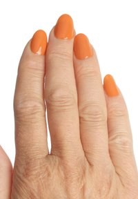 Immagine in miniatura 6