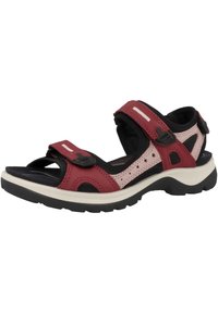 ECCO OFFROAD - Pārgājienu sandales - chili red/damask rose