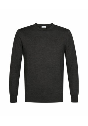 PROFUOMO, PROFUOMO PULLOVER CREW-NECK - Jumper - dark brown