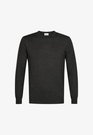 PROFUOMO, PROFUOMO PULLOVER CREW-NECK - Jumper - dark brown