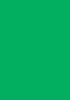 5. neon green