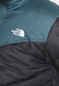The North Face Vinterjakker - black