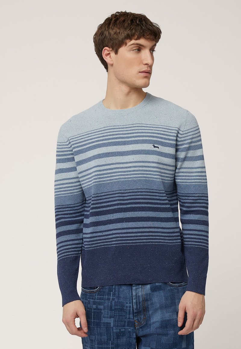 Gestreepte gebreide trui in tinten blauw, met horizontale lijnen, ronde halslijn en een klein logo op de borst. Zachte textuur, aansluitende mouwen.