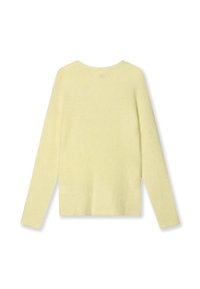 Maglione giallo, morbido, con una texture, dotato di un ampio scollo e maniche lunghe, con orlo dritto e senza abbellimenti visibili nella parte posteriore.