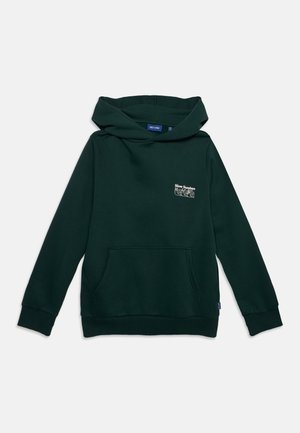 ONLY & SONS junior, OSJCERES RUNNING CLUB HOOD - Суитшърт с качулка - pine grove
