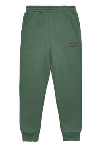 Pantalon de survêtement vert en coton doux, avec une taille élastique à cordon, des poches latérales, des poignets élastiques et un petit logo sur la cuisse gauche.