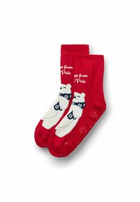 Calzini rossi da equipaggio con disegno di orso polare bianco, sciarpa blu navy e testo "Saluti dal Polo"; grip testurizzati sulle suole.