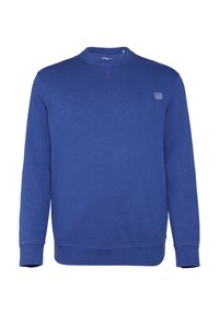 Blauwe sweatshirt gemaakt van zachte stof, met een ronde hals, lange mouwen, geribbelde manchetten en een klein logo-opdruk op de borst.