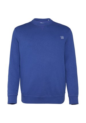Blaues Sweatshirt aus weichem Stoff, mit Rundhalsausschnitt, langen Ärmeln, gerippten Bündchen und einem kleinen Logopatch auf der Brust.