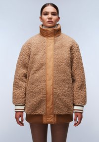 Napapijri BLEONE - Winter jacket - brown tobacco