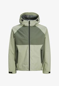 Unausgewählt, desert sage