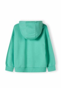 Sudadera verde menta con un ajuste relajado, mangas largas y capucha con cordón. La textura es suave con puños y dobladillo acanalados.