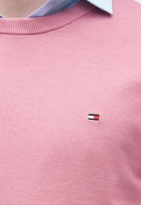 Różowy sweter z dzianiny noszony na jasnoniebieskiej koszuli z kołnierzykiem, z małym prostokątnym haftowanym logo w kolorach czerwonym, białym i czarnym na piersi.