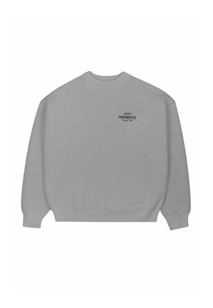 VORTEX - Strickpullover - grey