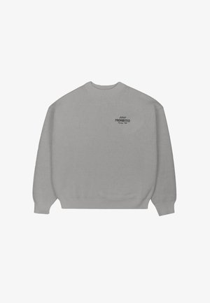 Lysegrå sweatshirt med rund halsudskæring, lange ærmer og ribbede manchetter. Har lille sort tekst, "PROHIBITED," på brystet.