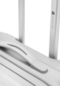 CIAK RONCATO FLIGHT CABINA - Trolley - argento