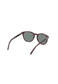  Occhiali da sole tartaruga marrone con lenti grigie, forma arrotondata e steli eleganti con dettagli in metallo. Nessun logo visibile.