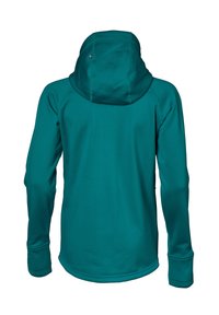 Teal langærmet hoodie med en enkelt accentsting på huen. Har en glat tekstur og en afslappet pasform. Bagfra.