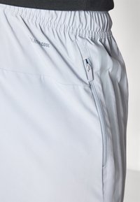 adidas Performance SHORT - Spordišortsid - halo silver