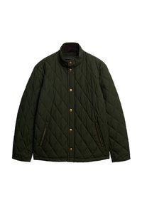 QUILTED ESTATE COUNTRY - Veste mi-saison - surplus goods olive/green