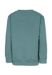 Turfärgad sweatshirt med rund hals och ribbad mudd. Mjuk tyg, enfärgad och med klassisk passform. Inga synliga mönster eller detaljer på baksidan.