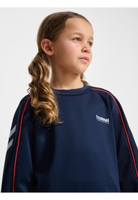 Mörkblå sweatshirt i mjukt tyg, med röda sidosträck och en vit logotyp på bröstet. Enkel design med rundad hals.