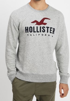 Mann trägt ein graues Hollister California Sweatshirt mit rotem Vogel-Logo, kombiniert mit olivgrünen Hosen, Hände entspannt seitlich.