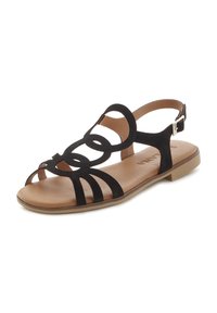 Black suede sandal featuring circular design, open toe, multiple straps, ankle strap with adjustable buckle, and a flat tan sole.