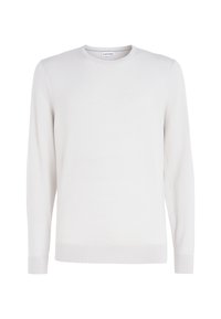 Maglione a maniche lunghe grigio chiaro a girocollo, realizzato in morbido tessuto a maglia, con un logo discreto sul petto e polsini e orlo a costine.