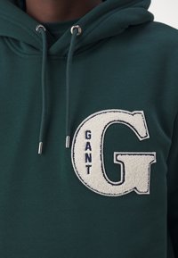 Felpa verde con un grande logo ricamato "GANT" in crema e blu. Presenta occhielli e cordini argentati. Texture morbida in cotone.