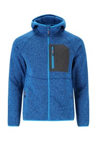 Non selezionato, blue aster