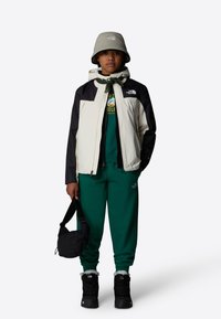 The North Face ANTORA TRICLIMATE - Outdoorjacka - white dune