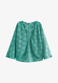 Nepasirinkta, teal blue